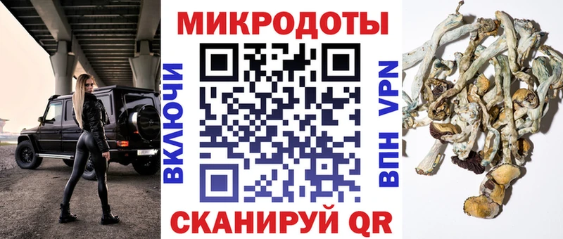 Галлюциногенные грибы прущие грибы  где продают наркотики  Красково 